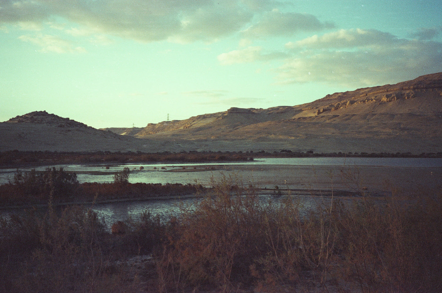 CAS Vintage Bloom 200 - Experimental ECN2 35mm Film - 27 Exposures