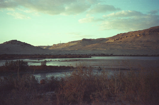 CAS Vintage Bloom 200 - Experimental ECN2 35mm Film - 27 Exposures