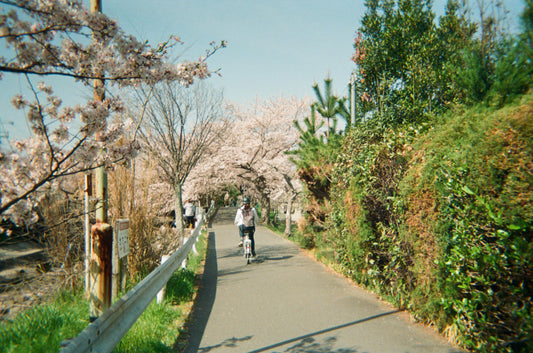 CAS Retro Disposable Film Camera - 39 Exposures