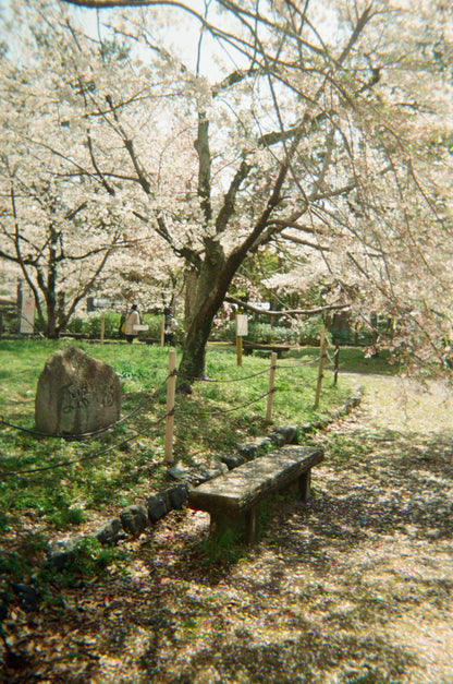 CAS Retro Disposable Film Camera - 39 Exposures