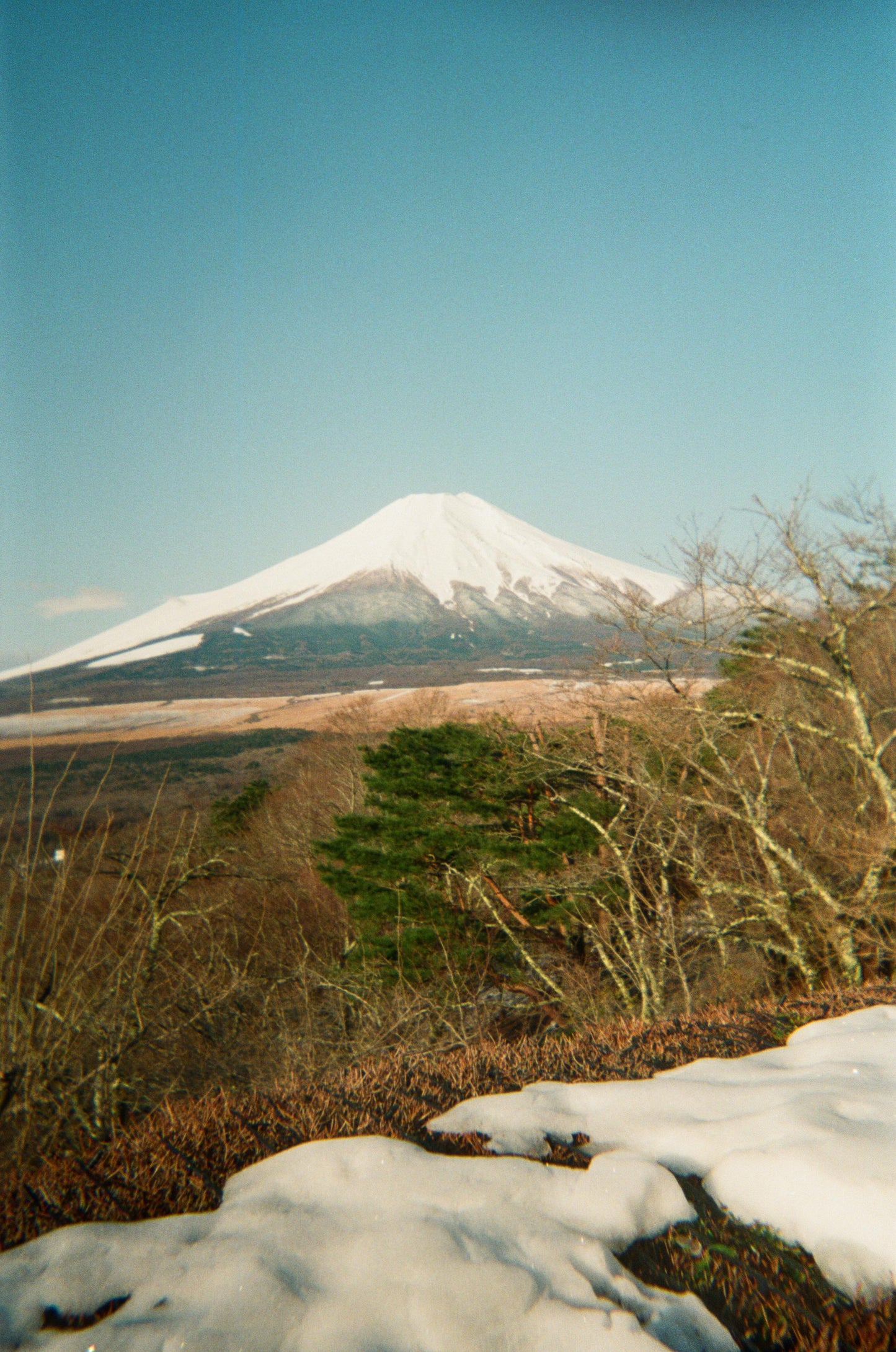 CAS Retro Disposable Film Camera - 39 Exposures