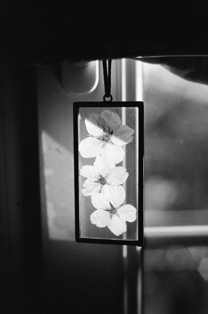 Dev/Scan - B&W
