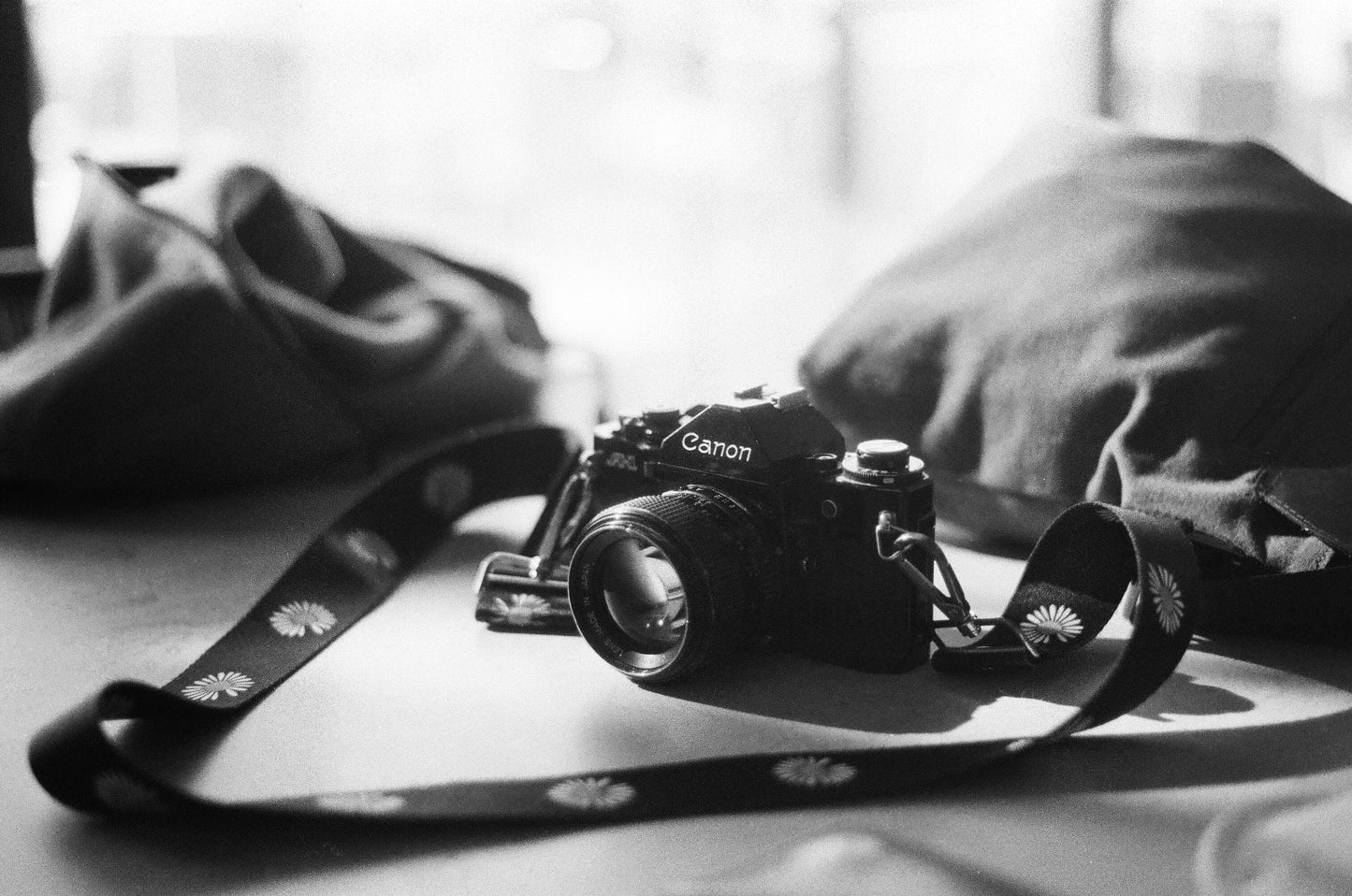 Dev/Scan - B&W