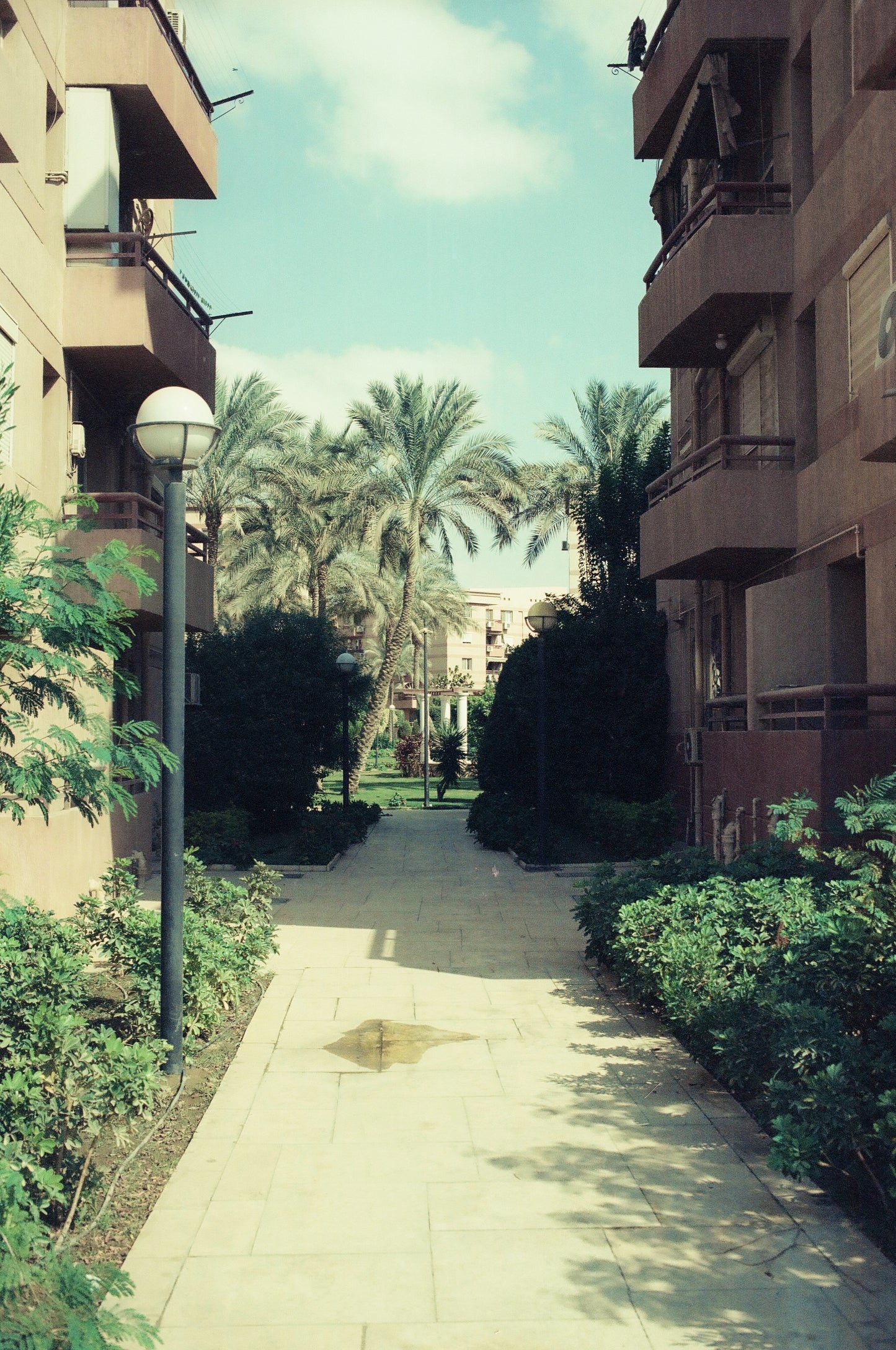 Daydream 200T - Experimental ECN2 Film - 27 Exposures