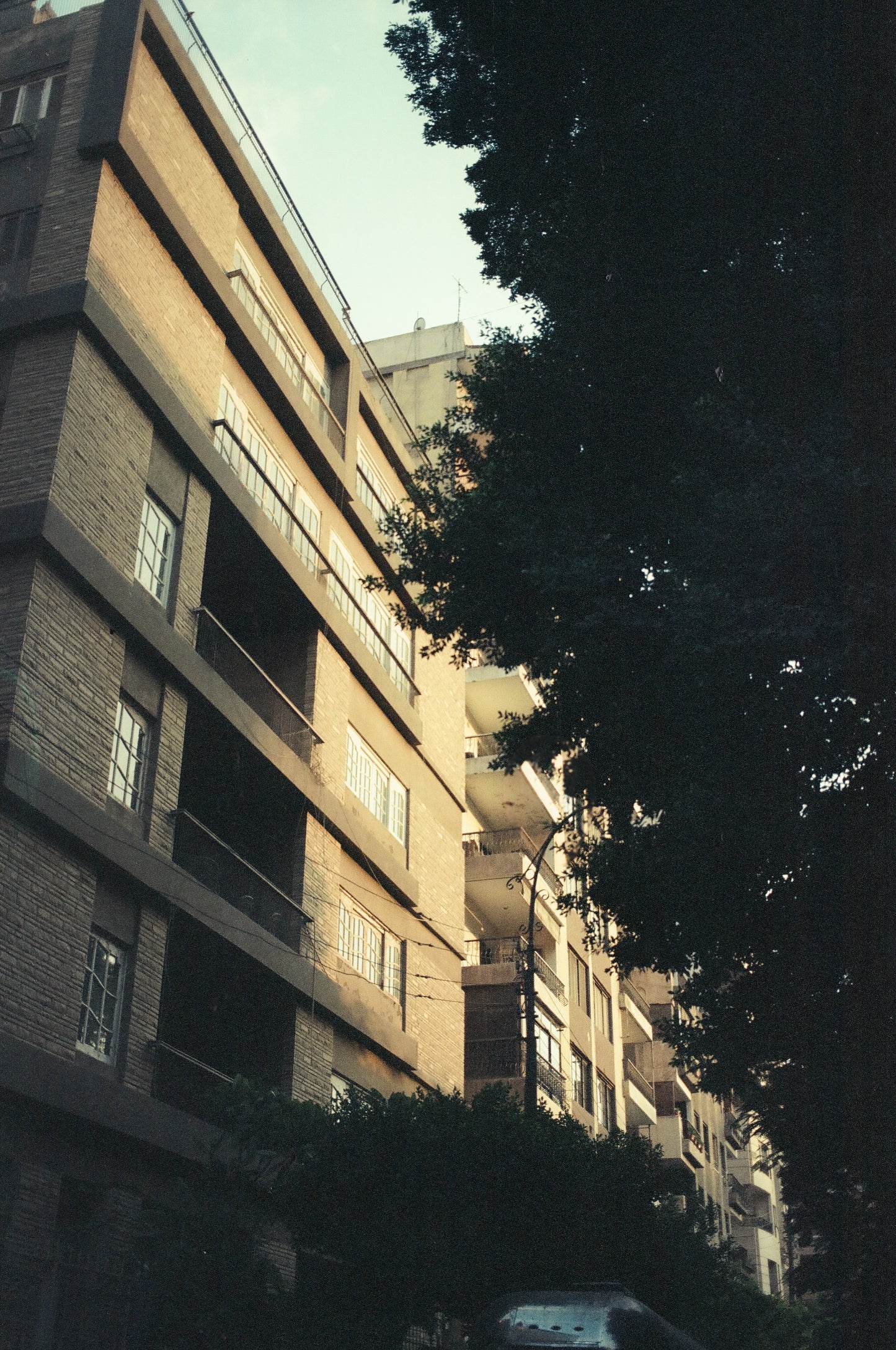 Daydream 200T - Experimental ECN2 Film - 27 Exposures