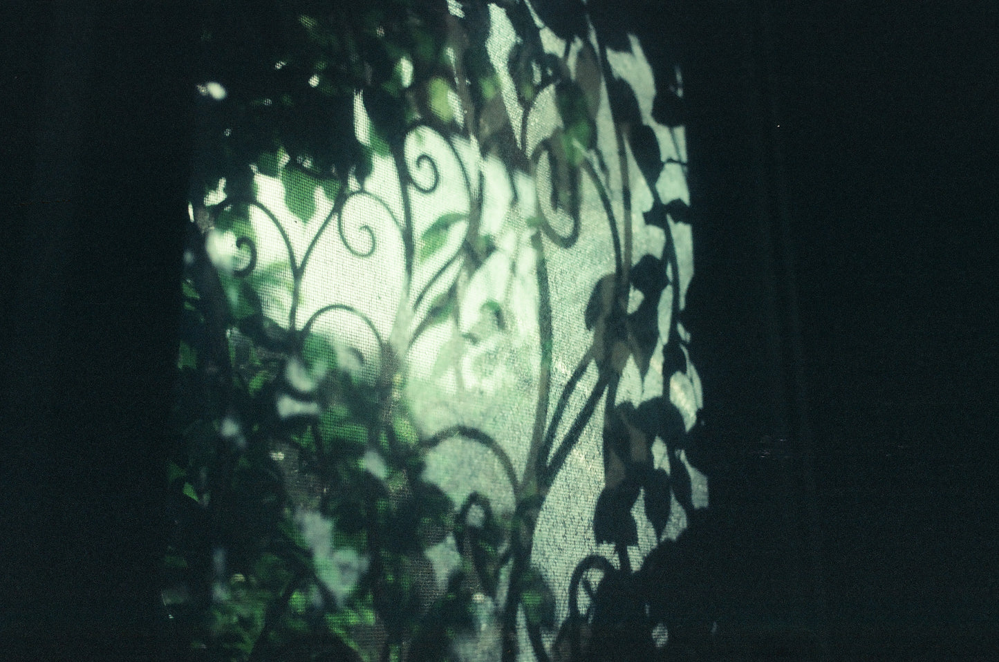 Daydream 200T - Experimental ECN2 Film - 27 Exposures