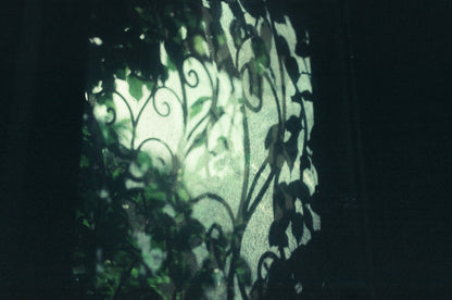 Daydream 200T - Experimental ECN2 Film - 27 Exposures
